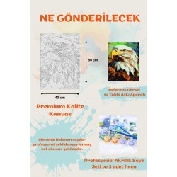 Sayılarla Boyama Çerçeveli Hobi Seti Numaralı Tuval Fırça Boya Dahil Kasnaklı 40X50 Cm