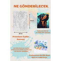 Sayılarla Boyama Çerçeveli Hobi Seti Numaralı Tuval Fırça Boya Dahil Kasnaklı 40X50 Cm