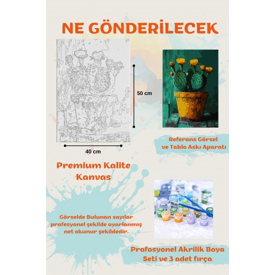 Sayılarla Boyama Seti Numaralı Tuval Fırça Boya KAKTÜS 40X50 Cm Sayılarla Boyama Seti Numaralı Tuval Fırça Boya KAKTÜS 40X50 Cm