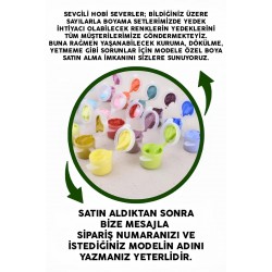 Modele Özel Tüm Renkleri İçeren Boya Seti Sayılarla Boyama