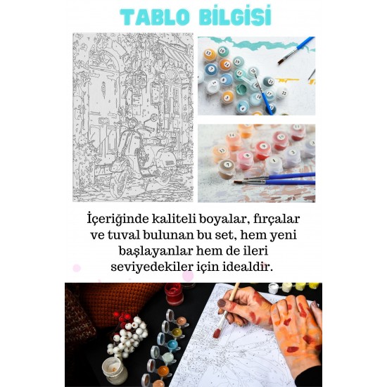 Sayılarla Boyama Çerçeveli Hobi Seti Numaralı Tuval Fırça Boya Dahil Kasnaklı PEMBE MOTOR 40X50 Cm Sayılarla Boyama Çerçeveli Hobi Seti Numaralı Tuval Fırça Boya Dahil Kasnaklı PEMBE MOTOR 40X50 Cm