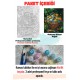 Sayılarla Boyama Hobi Seti Çerçeveli Numaralı Tuval Fırça Boya Dahil Kasnaklı 40x50 Cm Sayılarla Boyama Hobi Seti Çerçeveli Numaralı Tuval Fırça Boya Dahil Kasnaklı 40x50 Cm