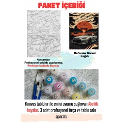 Sayılarla Boyama Tuval Seti GTR ARABA  40X50 Numaralı Boyalar Ve Fırçalar Tam Set
