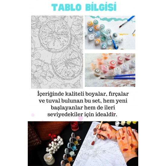 Sayılarla Boyama Hobi Seti Çerçeveli Numaralı Tuval Fırça Boya Dahil Kasnaklı 40x50 Cm Sayılarla Boyama Hobi Seti Çerçeveli Numaralı Tuval Fırça Boya Dahil Kasnaklı 40x50 Cm