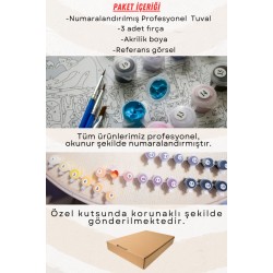 Sayılarla Boyama Çerçeveli Hobi Seti Numaralı Tuval Fırça Boya Dahil Kasnaklı GRAFİTİ KEDİ 40X50 Cm