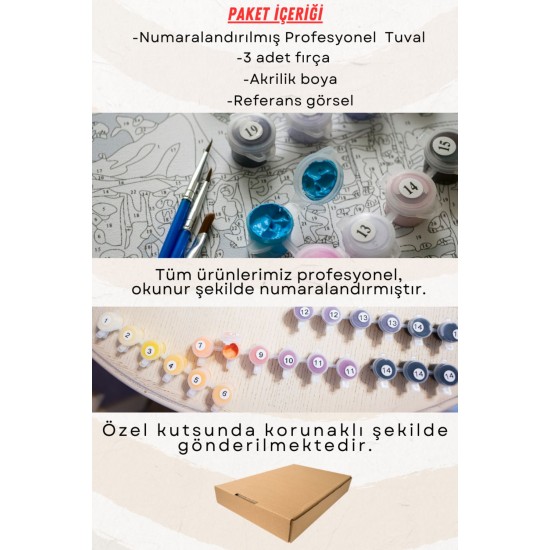 Sayılarla Boyama Çerçeveli Hobi Seti Numaralı Tuval Fırça Boya Dahil Kasnaklı GRAFİTİ KEDİ 40X50 Cm Sayılarla Boyama Çerçeveli Hobi Seti Numaralı Tuval Fırça Boya Dahil Kasnaklı GRAFİTİ KEDİ 40X50 Cm