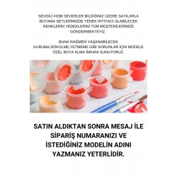 Modele Özel Tüm Renkleri İçeren Boya Seti Sayılarla Boyama