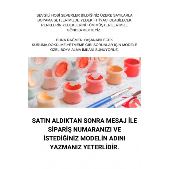 Modele Özel Tüm Renkleri İçeren Boya Seti Sayılarla Boyama Modele Özel Tüm Renkleri İçeren Boya Seti Sayılarla Boyama