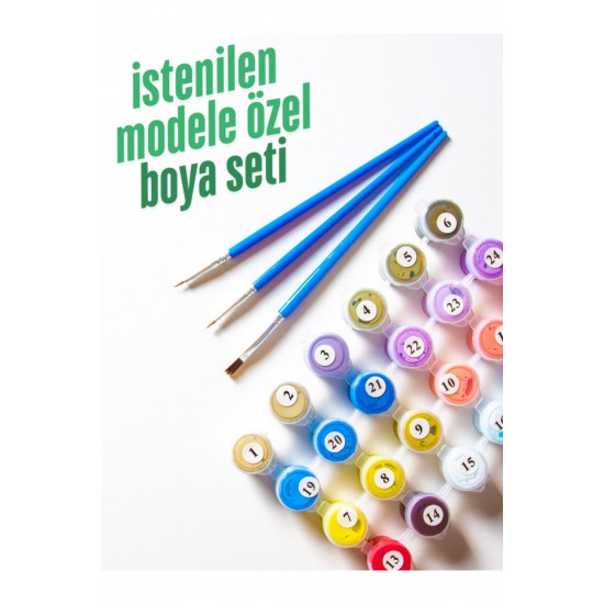 Modele Özel Tüm Renkleri İçeren Boya Seti Sayılarla Boyama Modele Özel Tüm Renkleri İçeren Boya Seti Sayılarla Boyama
