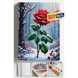 Sayılarla Boyama Seti Numaralı Tuval Fırça Boya Dahil Kasnaklı Set 40x50 Cm - KARDA GÜL