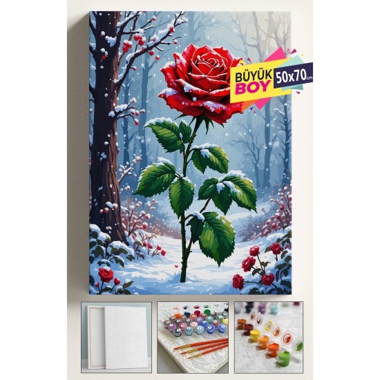 Sayılarla Boyama Seti Numaralı Tuval Fırça Boya Dahil Kasnaklı Set 40x50 Cm - KARDA GÜL