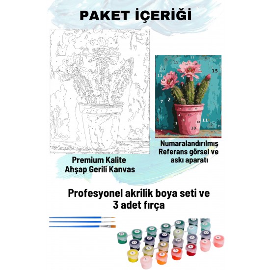 Sayılarla Boyama Seti Numaralı Tuval Fırça Boya 40x50 Cm - PEMBE KAKTÜS