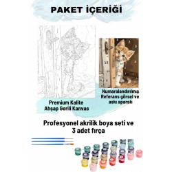 Sayılarla Boyama Seti Numaralı Tuval Fırça Boya 40x50 Cm - KAPIARKASIKEDİ