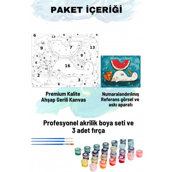 Sayılarla Boyama Seti Numaralı Tuval Fırça Boya 40x50 Cm Karpuz Ördek
