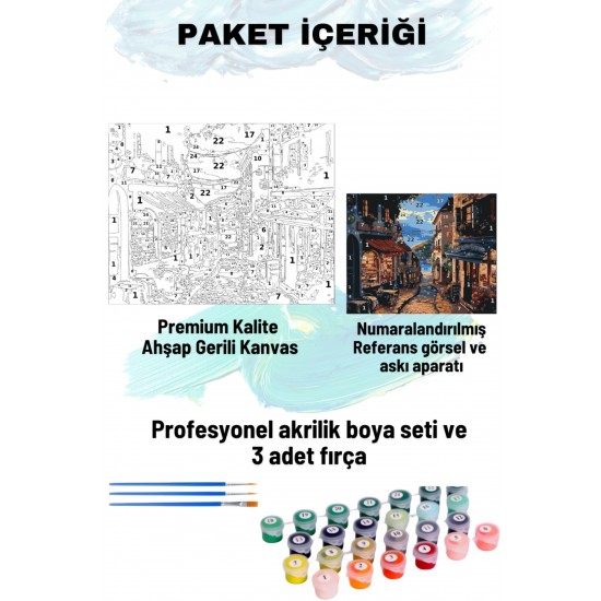 Sayılarla Boyama Seti Numaralı Tuval Fırça Boya 40x50 Cm Lotus Sokak