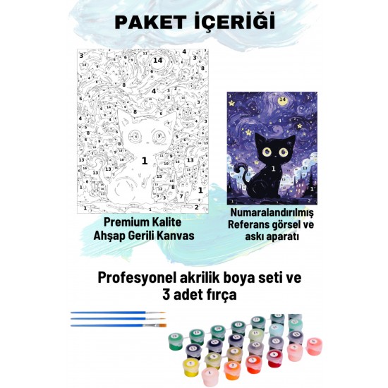 Sayılarla Boyama Seti Numaralı Tuval Fırça Boya 40x50 Cm Kara Kedi